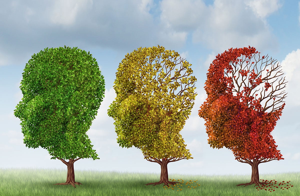 Global Lifestyle Foundation Blog Practical Strategies To Address Memory Loss From Alzheimer s